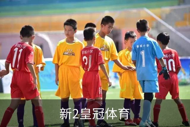 新2皇冠体育 公司简介